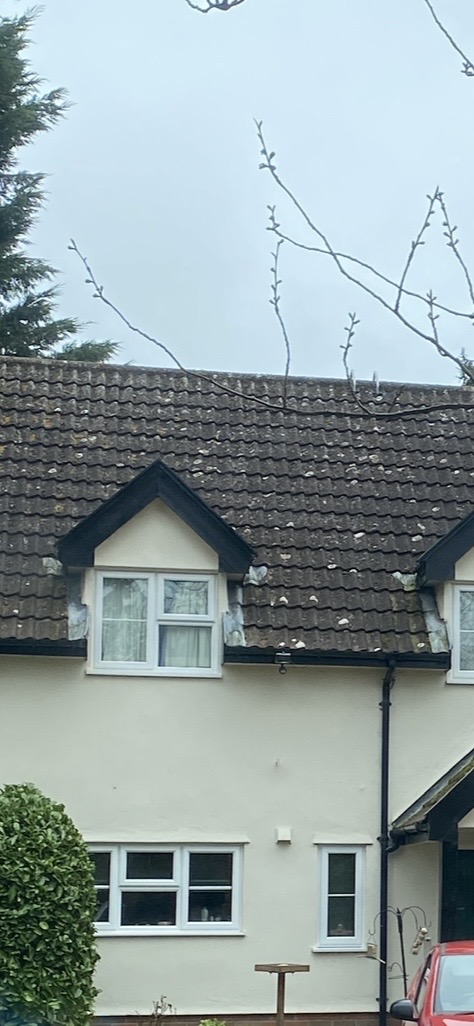 Darkened roof tiles with visible lichen around a dormer window before cleaning