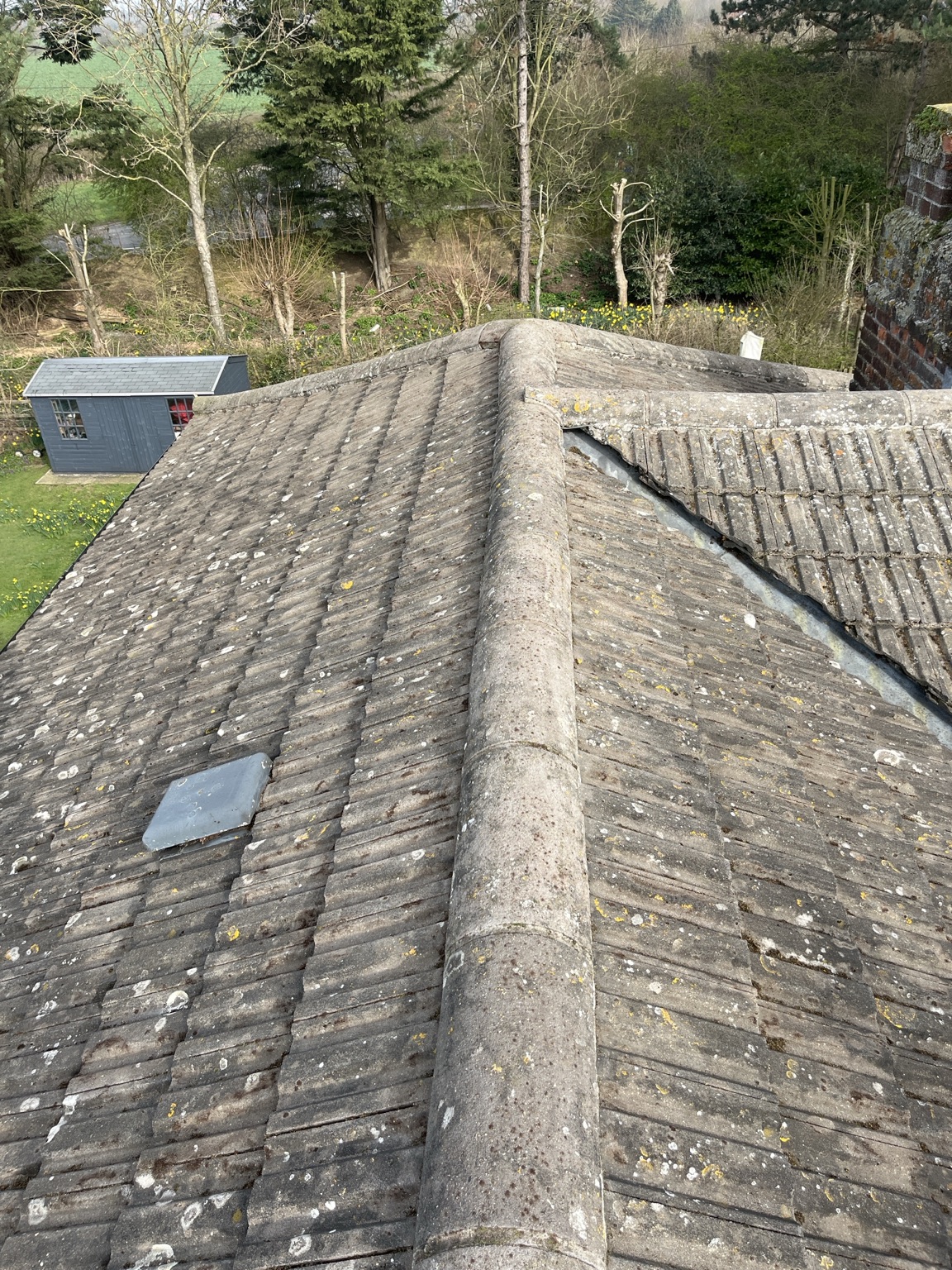 Roof tiles after moss removal, with some lichen still visible