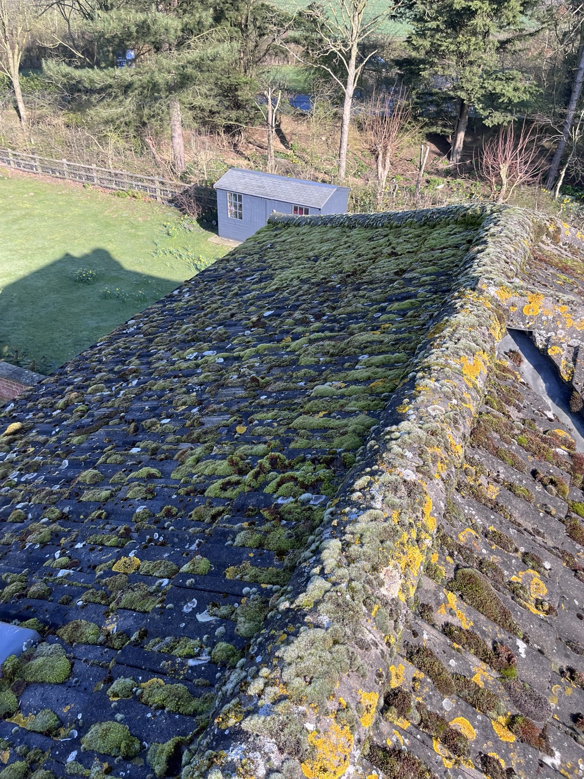 Roof tiles covered in thick green moss