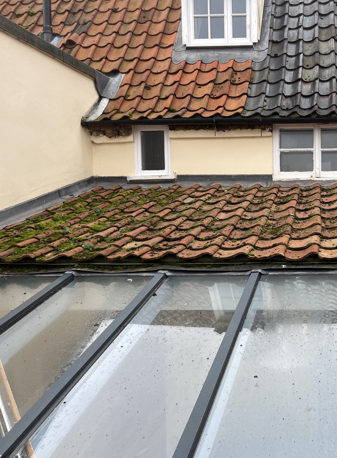 Moss-covered lower tiled roof above a dirty glass canopy